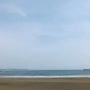 ぽちたまの画像