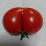 おかっぱ