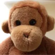 えるざの画像