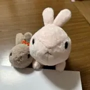 よしのの画像