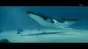 かだやまの画像