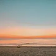 サリの画像