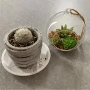 KoUの画像