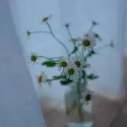 ナポリタンの画像