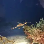 RE※の画像