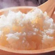 にこまる 10kg 農薬不使用 国産玄米 農家直送 単一品種 専用冷蔵庫