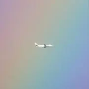 るりをの画像