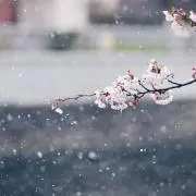 おゆ☻