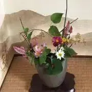 トキちゃんの画像