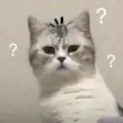 南