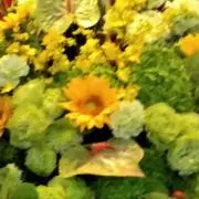 芽彩
