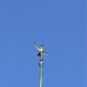 Senの画像