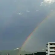 購入前のコメント必須momomaeru☆の画像