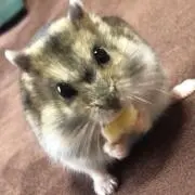 ☆メリッサ☆の画像