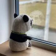 takoyの画像