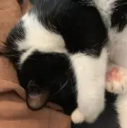 Haruの画像