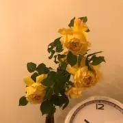 たん