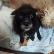 たーちゃん