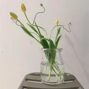 あずさの画像