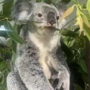 にぎにぎの画像