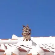 Kerokero777の画像