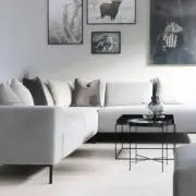 cocoの画像
