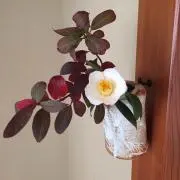 着物と器の画像