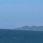 ふうこ