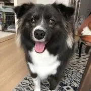 ルナの画像