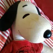 トリトリトリさんの画像