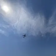 れもん