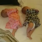ふちゃろー