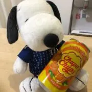 ミキ