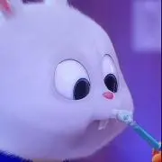 きりんの画像