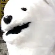 あきら、（実験中）