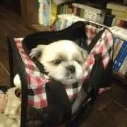 まるまるの画像