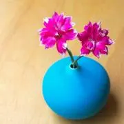mimicho
