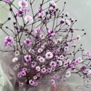 mmの画像