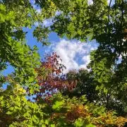 mmmの画像