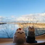 ochibiの画像