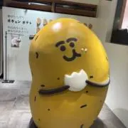 アプリコの画像