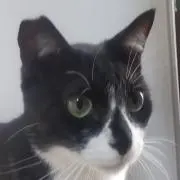 なおの画像