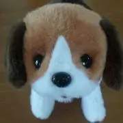 ぱんだ☆の画像