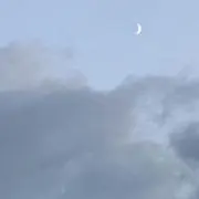 あおいの画像