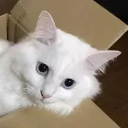 ふみやま