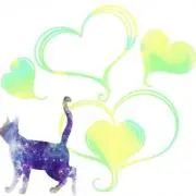 せんちゃの画像