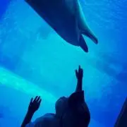 さゆりーぬ