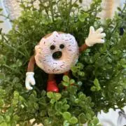donuts6/7〜8発送できませんの画像