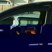 ふわふわさん