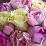 ♡可愛いもの好き♡